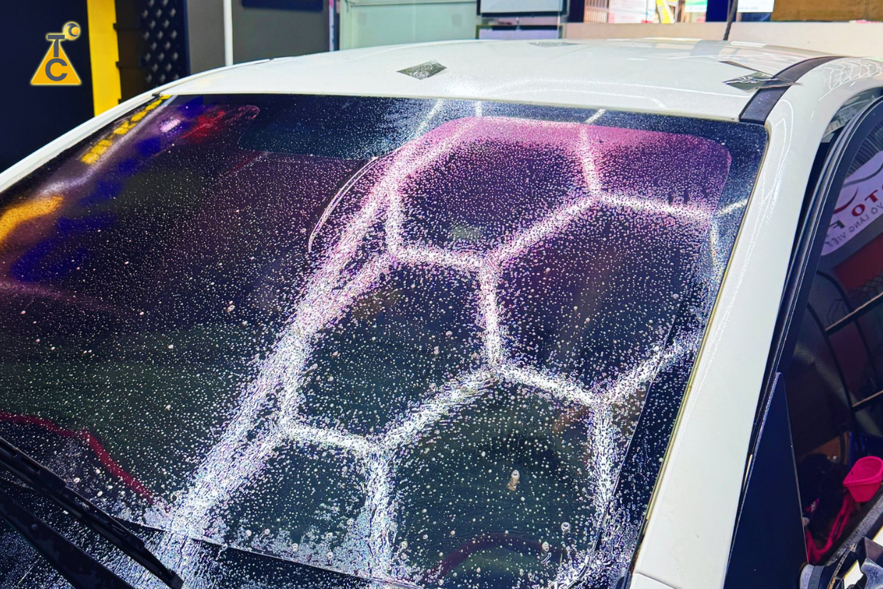 Cơ chế phản xạ ánh sáng tinh tế của cánh bướm Morpho